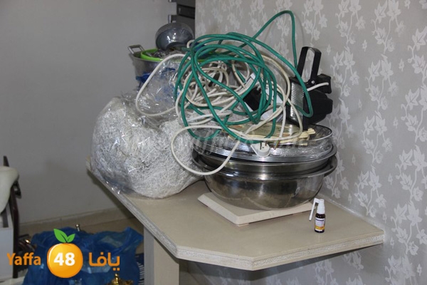 zaytoon house 0227 (16).JPG